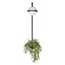 Бра loft it jardin 10121w-b